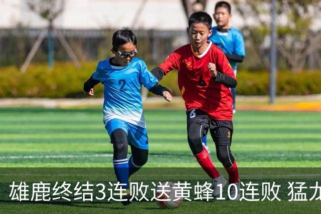 雄鹿终结3连败送黄蜂10连败 猛龙送火箭3连败